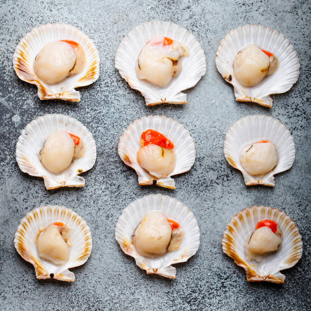 Half-Shelled Scallops 1Kg (55 to 60 pieces)