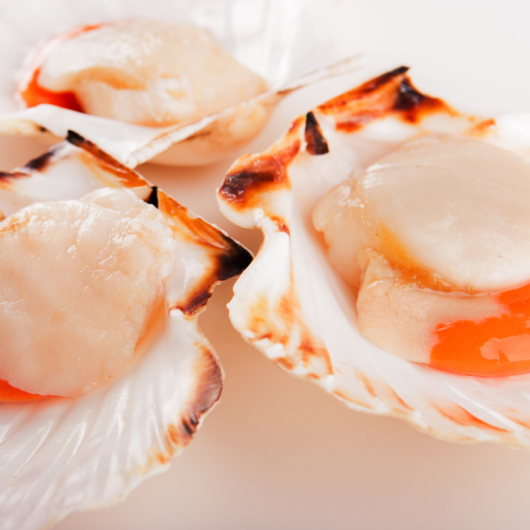 Half-Shelled Scallops 1Kg (55 to 60 pieces)