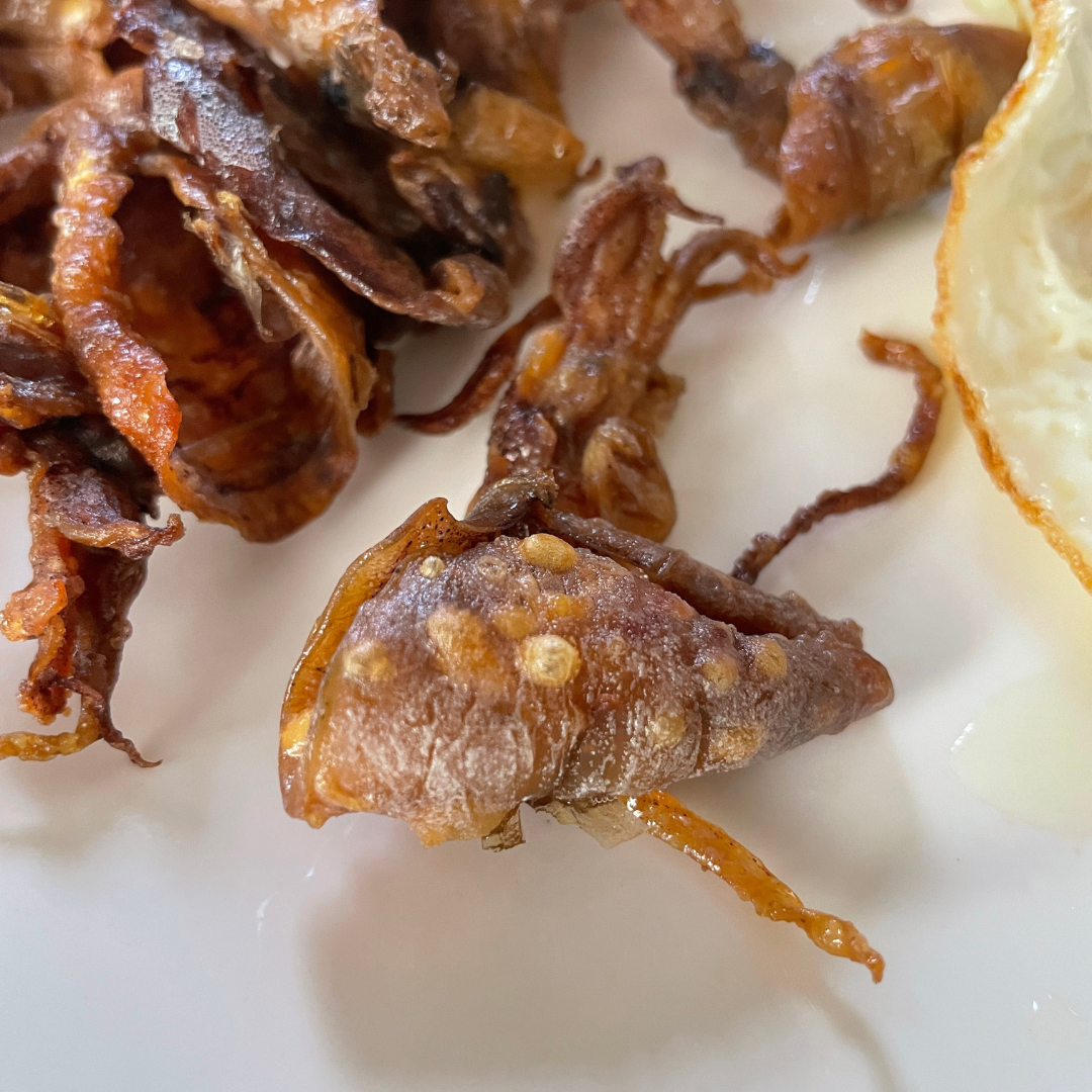 DRIED PUSIT REGULAR 1Kg