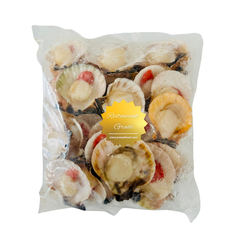 Half-Shelled Scallops 1Kg (55 to 60 pieces) – JRA Seafood