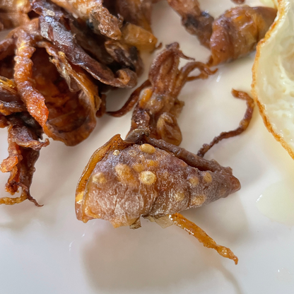 PUSIT PALAD (REGULAR DRIED PUSIT)